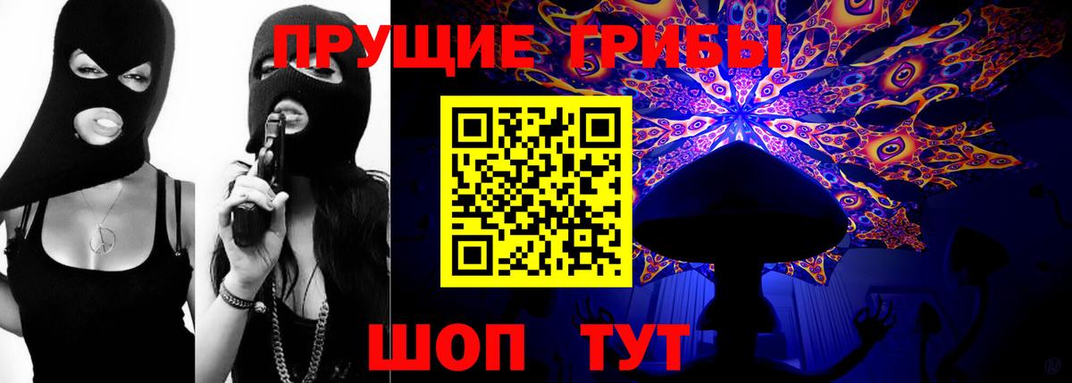 Черняховск  Псилоцибиновые грибы прущие грибы  Вход с VPN  Галлюциногенные грибы Magic Shrooms 
