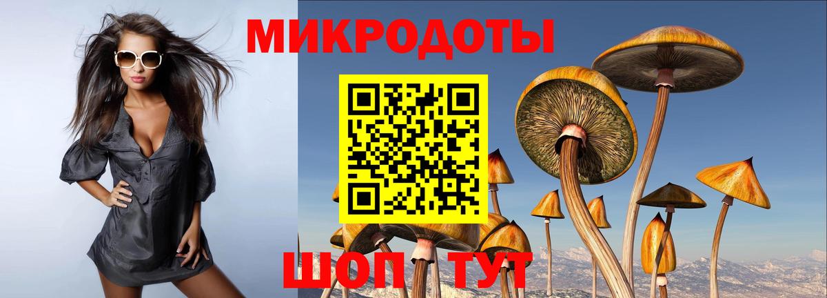 Галлюциногенные грибы мухоморы Черняховск